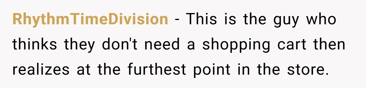 RhythmTimeDivision − This is the guy who thinks they don't need a shopping cart then realizes at the furthest point in the store.
