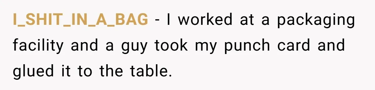 I_SHIT_IN_A_BAG − I worked at a packaging facility and a guy took my punch card and glued it to the table.