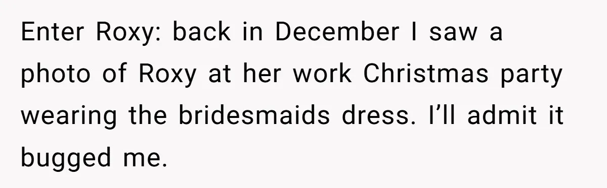 Enter Roxy: back in December I saw a photo of Roxy at her work Christmas party wearing the bridesmaids dress. I’ll admit it bugged me.