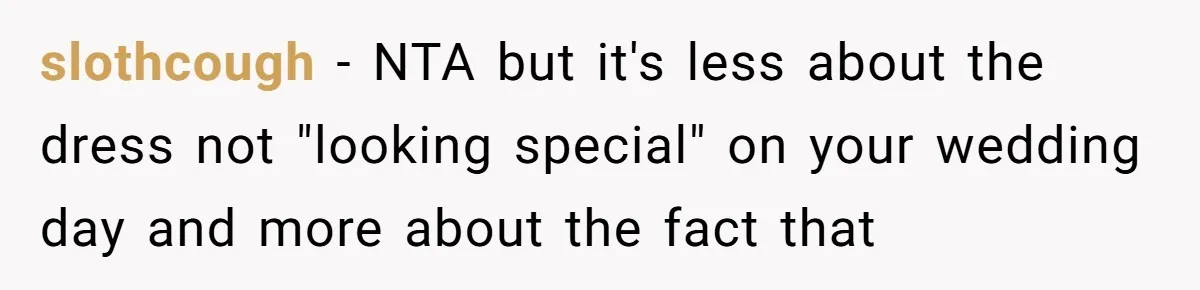 slothcough − NTA but it's less about the dress not "looking special" on your wedding day and more about the fact that