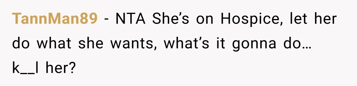Son Breaks Hospice Rules And Brings Alcohol To Terminally Ill Mom, Family Furious TannMan89 − NTA She’s on Hospice, let her do what she wants, what’s it gonna do… k__l her?