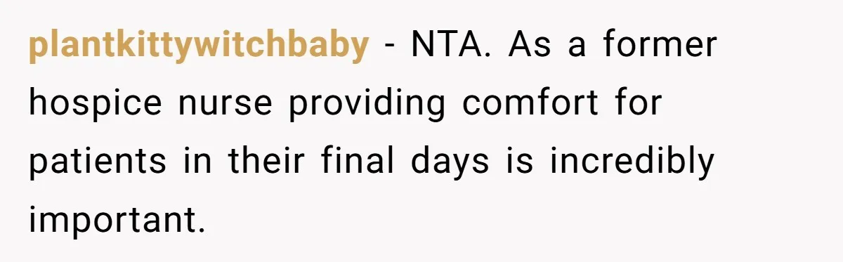 Son Breaks Hospice Rules And Brings Alcohol To Terminally Ill Mom, Family Furious plantkittywitchbaby − NTA. As a former hospice nurse providing comfort for patients in their final days is incredibly important.