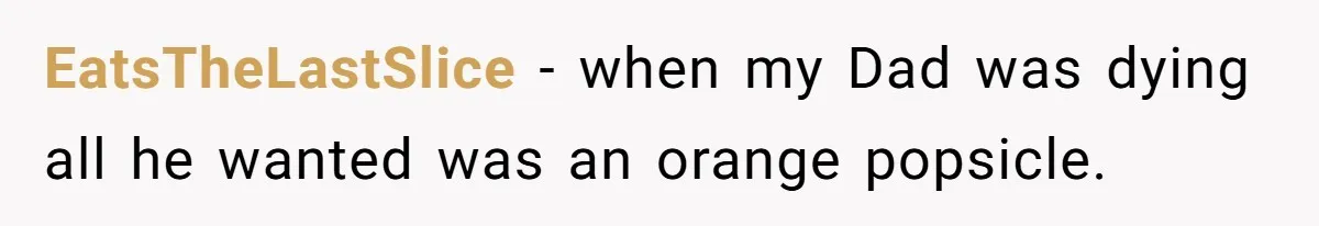 Son Breaks Hospice Rules And Brings Alcohol To Terminally Ill Mom, Family Furious EatsTheLastSlice − when my Dad was dying all he wanted was an orange popsicle.