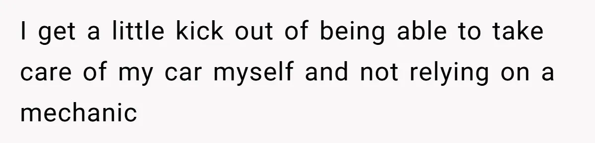 I get a little kick out of being able to take care of my car myself and not relying on a mechanic
