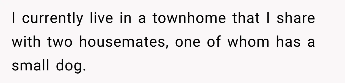I currently live in a townhome that I share with two housemates, one of whom has a small dog.