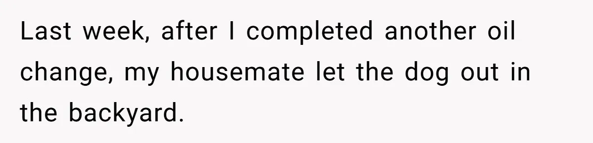 Last week, after I completed another oil change, my housemate let the dog out in the backyard.