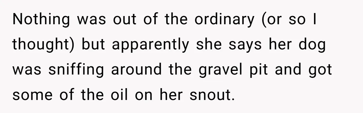 Nothing was out of the ordinary (or so I thought) but apparently she says her dog was sniffing around the gravel pit and got some of the oil on her...