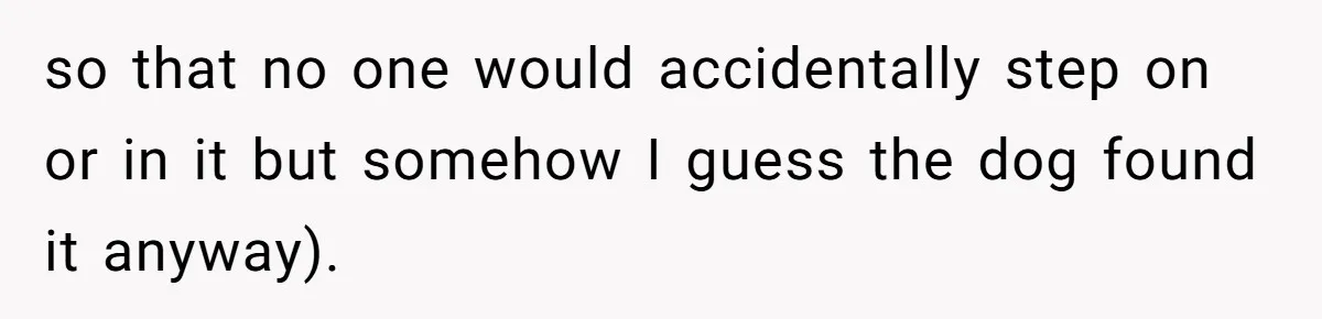 so that no one would accidentally step on or in it but somehow I guess the dog found it anyway).