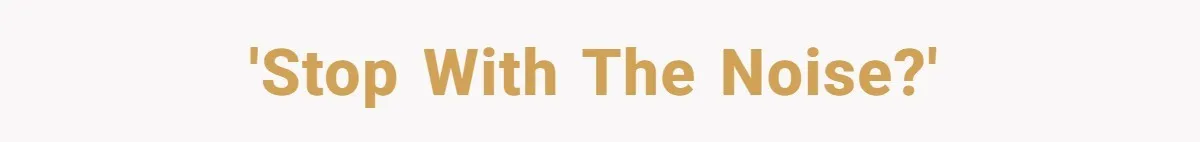 'Stop With The Noise?'