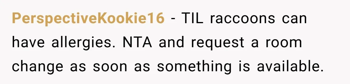 PerspectiveKookie16 − TIL raccoons can have allergies. NTA and request a room change as soon as something is available.