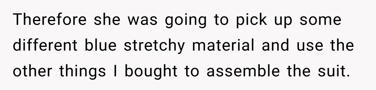 Therefore she was going to pick up some different blue stretchy material and use the other things I bought to assemble the suit.