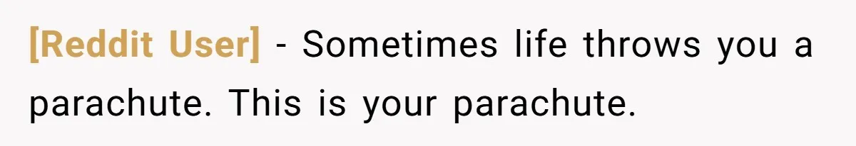 [Reddit User] − Sometimes life throws you a parachute. This is your parachute.