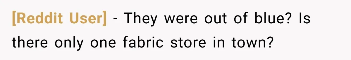 [Reddit User] − They were out of blue? Is there only one fabric store in town?