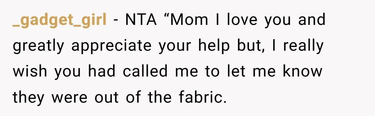 _gadget_girl − NTA “Mom I love you and greatly appreciate your help but, I really wish you had called me to let me know they were out of the fabric.