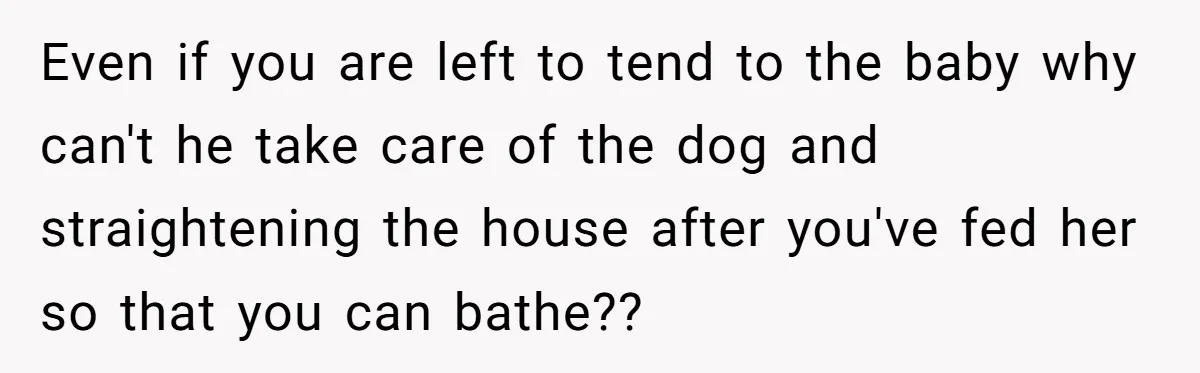 Even if you are left to tend to the baby why can't he take care of the dog and straightening the house after you've fed her so that you can...