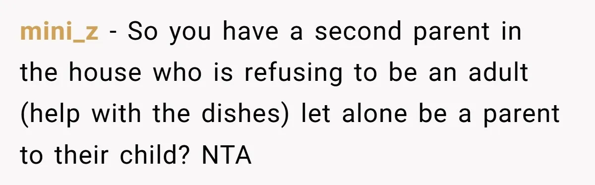 mini_z − So you have a second parent in the house who is refusing to be an adult (help with the dishes) let alone be a parent to their child?...