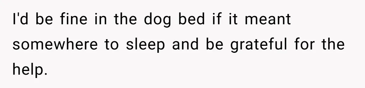 I'd be fine in the dog bed if it meant somewhere to sleep and be grateful for the help.