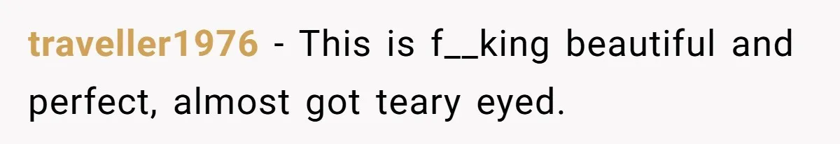 traveller1976 − This is f__king beautiful and perfect, almost got teary eyed.