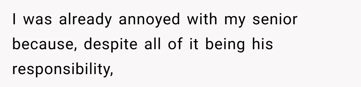 I was already annoyed with my senior because, despite all of it being his responsibility,