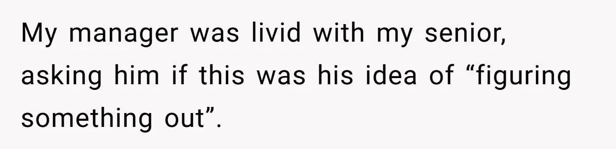 My manager was livid with my senior, asking him if this was his idea of “figuring something out”.