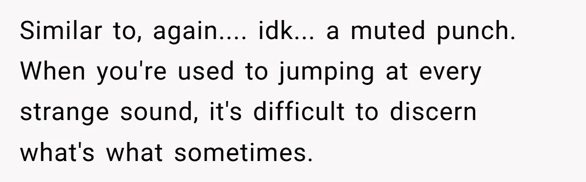 Similar to, again.... idk... a muted punch. When you're used to jumping at every strange sound, it's difficult to discern what's what sometimes.