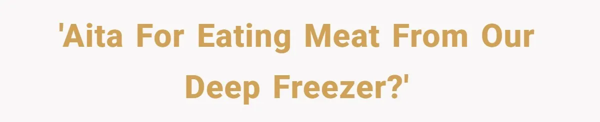 'AITA for eating meat from our deep freezer?'