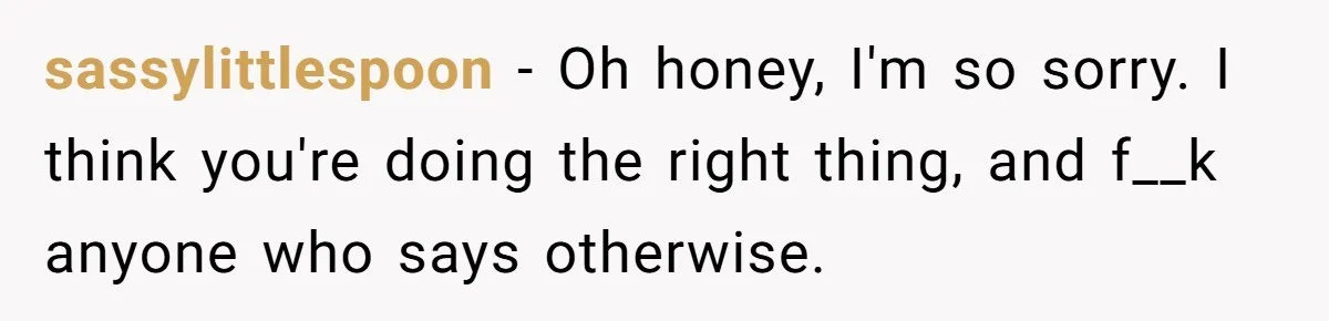 sassylittlespoon − Oh honey, I'm so sorry. I think you're doing the right thing, and f__k anyone who says otherwise.