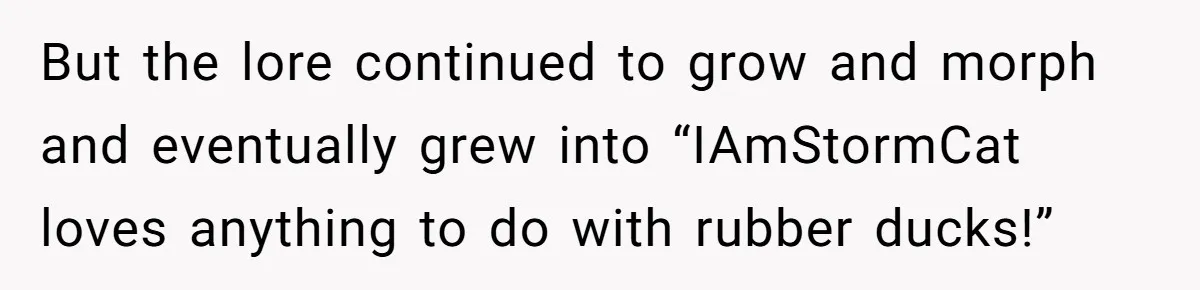 But the lore continued to grow and morph and eventually grew into “IAmStormCat loves anything to do with rubber ducks!”