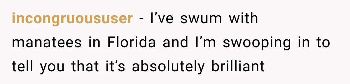 incongruoususer − I’ve swum with manatees in Florida and I’m swooping in to tell you that it’s absolutely brilliant