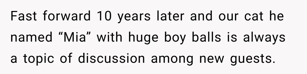 Fast forward 10 years later and our cat he named “Mia” with huge boy balls is always a topic of discussion among new guests.