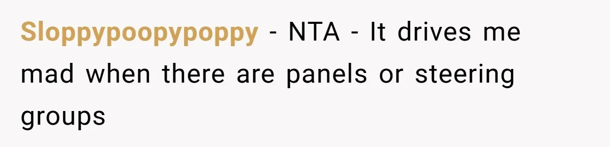 Sloppypoopypoppy − NTA - It drives me mad when there are panels or steering groups