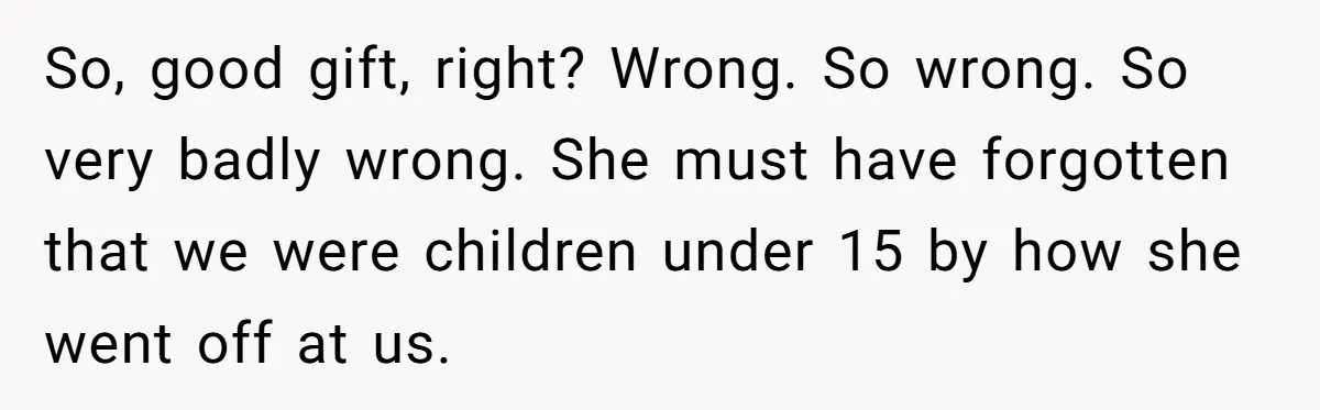 So, good gift, right? Wrong. So wrong. So very badly wrong. She must have forgotten that we were children under 15 by how she went off at us.