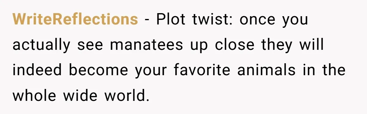 WriteReflections − Plot twist: once you actually see manatees up close they will indeed become your favorite animals in the whole wide world.
