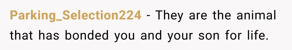 Parking_Selection224 − They are the animal that has bonded you and your son for life.