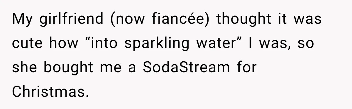 My girlfriend (now fiancée) thought it was cute how “into sparkling water” I was, so she bought me a SodaStream for Christmas.