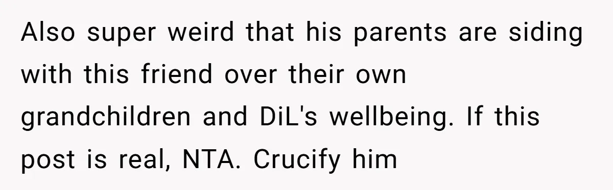 Also super weird that his parents are siding with this friend over their own grandchildren and DiL's wellbeing. If this post is real, NTA. Crucify him