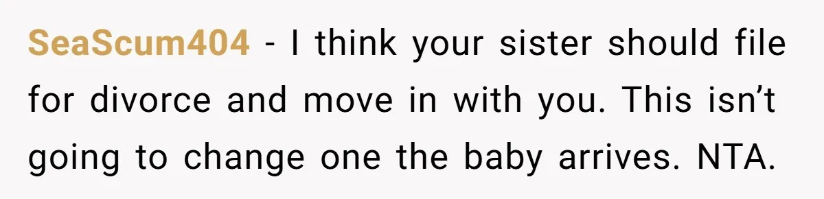 SeaScum404 − I think your sister should file for divorce and move in with you. This isn’t going to change one the baby arrives. NTA.