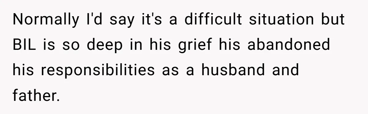 Normally I'd say it's a difficult situation but BIL is so deep in his grief his abandoned his responsibilities as a husband and father.