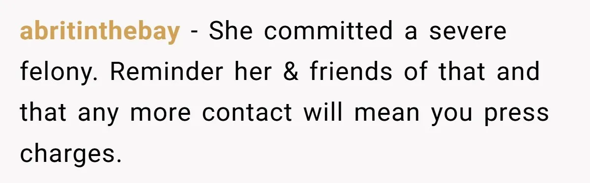 abritinthebay − She committed a severe felony. Reminder her & friends of that and that any more contact will mean you press charges.