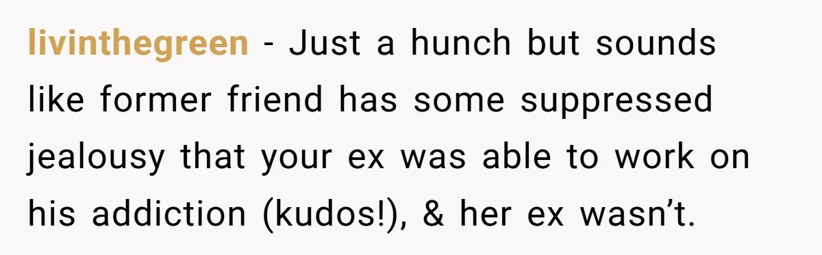 livinthegreen − Just a hunch but sounds like former friend has some suppressed jealousy that your ex was able to work on his addiction (kudos!), & her ex wasn’t.