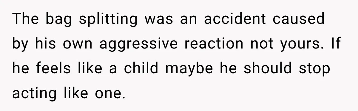 He Kept Snatching Things Out of People’s Hands, So She Finally Snatched Back The bag splitting was an accident caused by his own aggressive reaction not yours. If he feels like a child maybe he should stop acting like one.