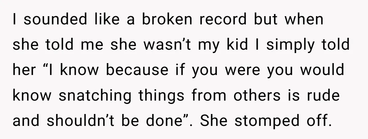 He Kept Snatching Things Out of People’s Hands, So She Finally Snatched Back I sounded like a broken record but when she told me she wasn’t my kid I simply told her “I know because if you were you would know snatching things...