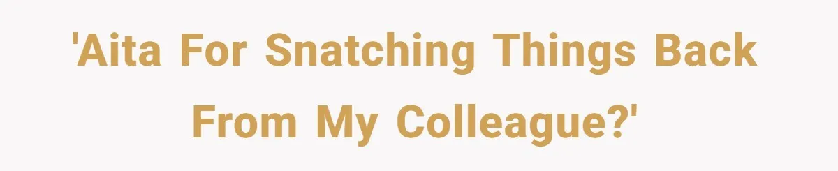 He Kept Snatching Things Out of People’s Hands, So She Finally Snatched Back 'AITA for snatching things back from my colleague?'
