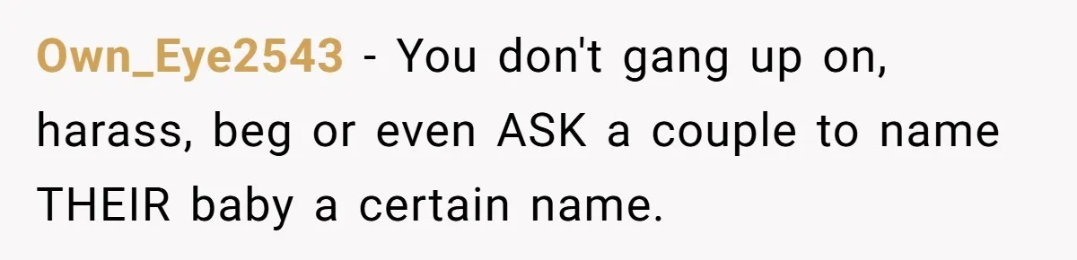 Own_Eye2543 − You don't gang up on, harass, beg or even ASK a couple to name THEIR baby a certain name.