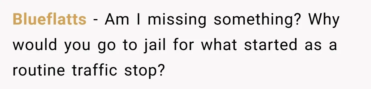 Blueflatts − Am I missing something? Why would you go to jail for what started as a routine traffic stop?