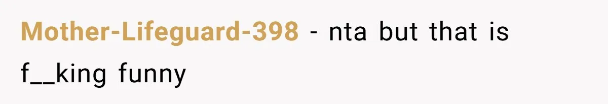 Mother-Lifeguard-398 − nta but that is f__king funny