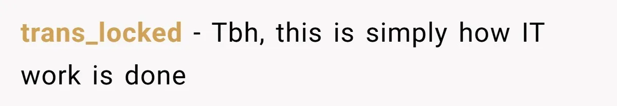trans_locked − Tbh, this is simply how IT work is done