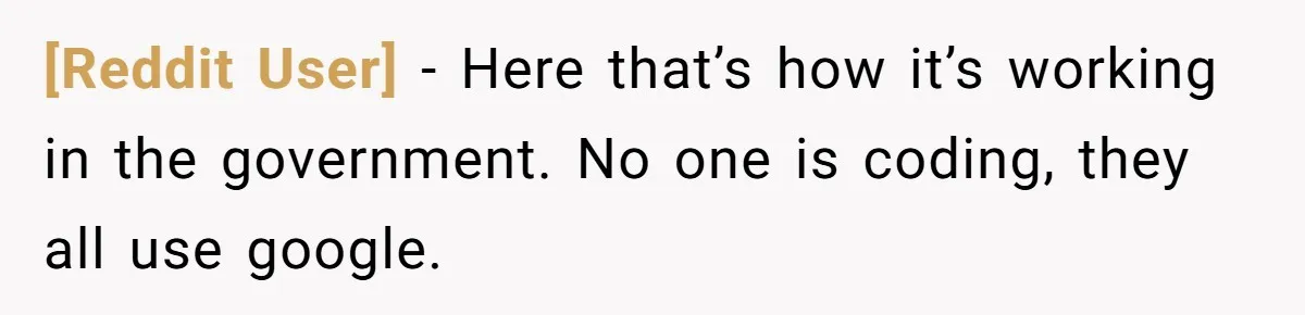 [Reddit User] − Here that’s how it’s working in the government. No one is coding, they all use google.