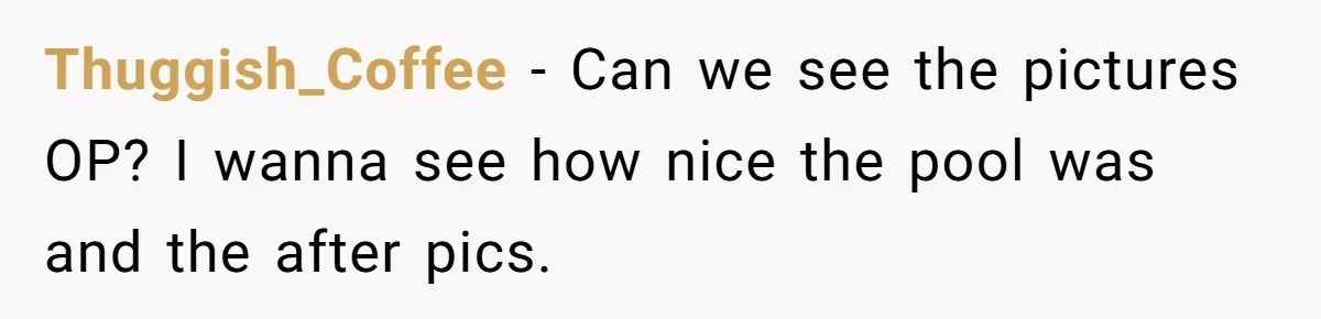 Thuggish_Coffee − Can we see the pictures OP? I wanna see how nice the pool was and the after pics.