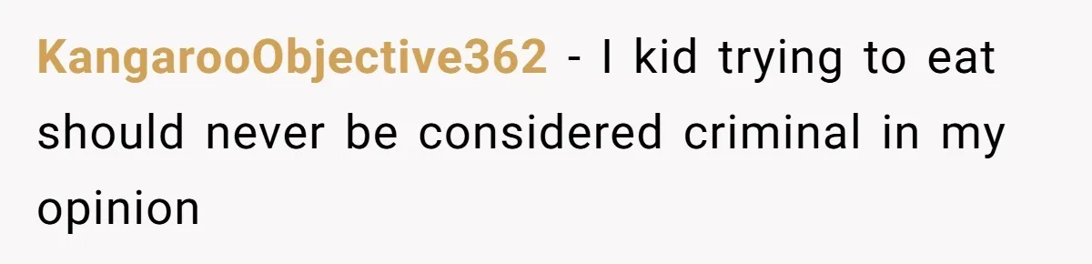 KangarooObjective362 − I kid trying to eat should never be considered criminal in my opinion